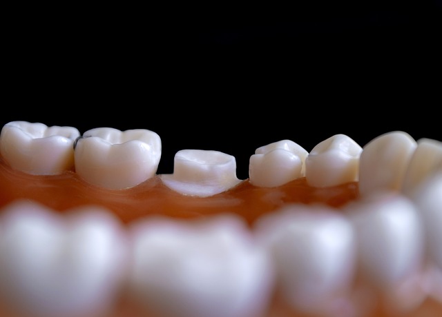 orthodontics dentistry