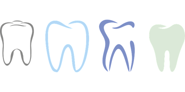 orthodontics dentistry