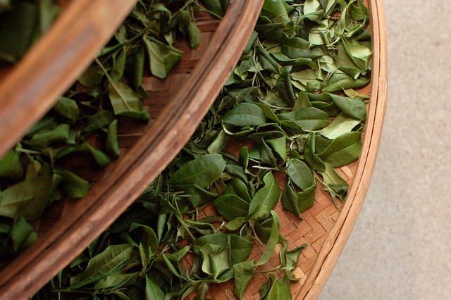 Peppermint Tea: Unlocking Nature’s Antioxidant Power for Brain & Energy