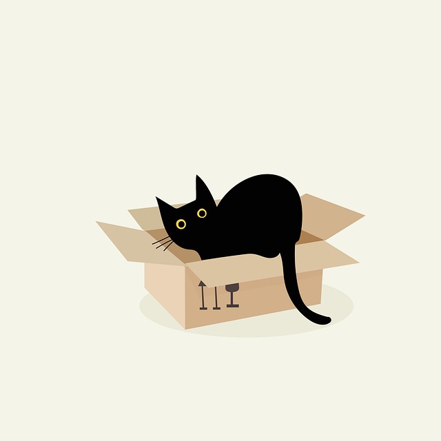 playful-marmalade-cats-640x480-10732315.jpeg