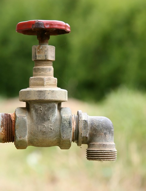 Revolutionizing Plumbing: Eco-Solutions for Water Conservation