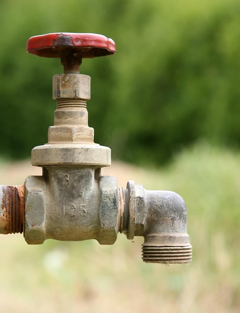 plumbing services