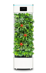 air-purifiers-640x480-1144795.png