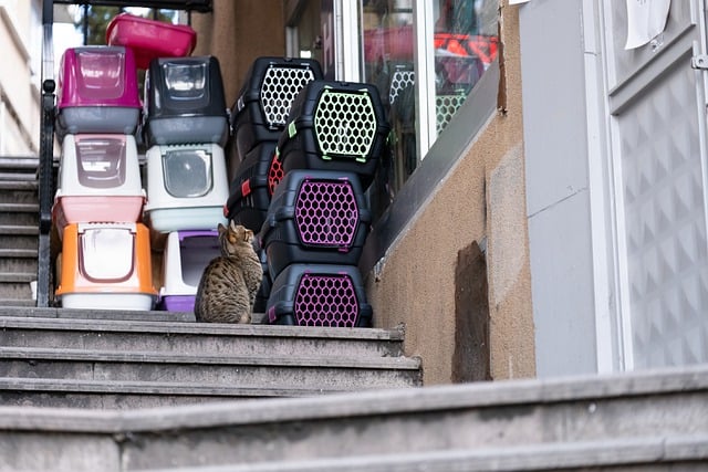 best air purifier for pets
