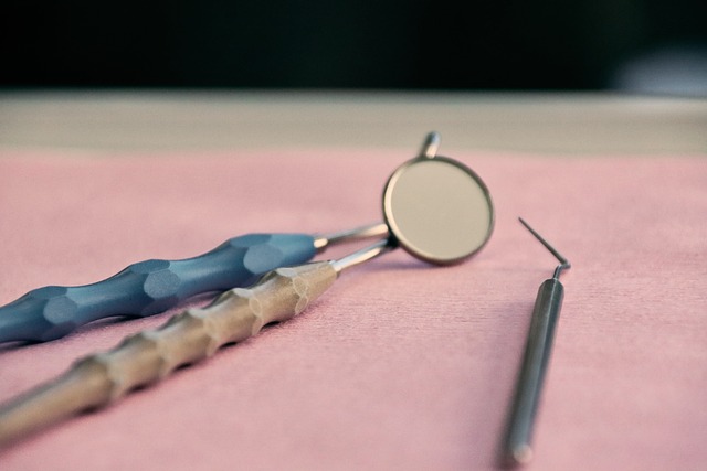 dental education