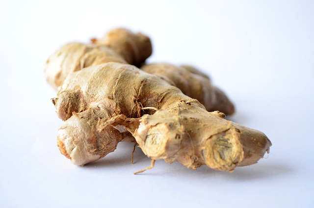Ginger Cats