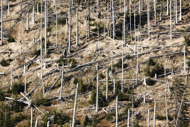 hurricane damage injuries