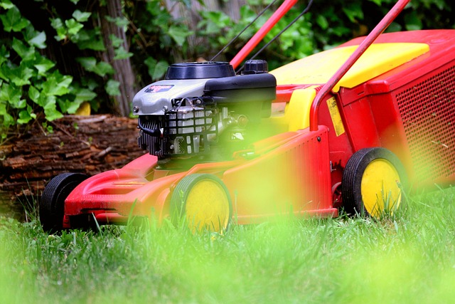 Lawn Care