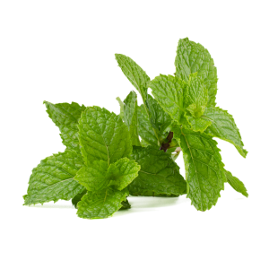 peppermint-tea-benefits-640x480-99515539.png