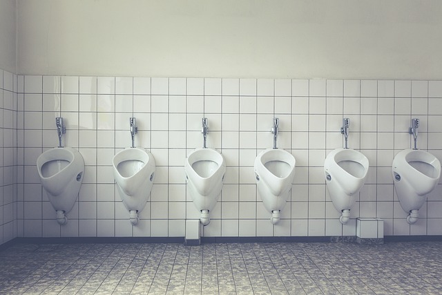 plumbing services