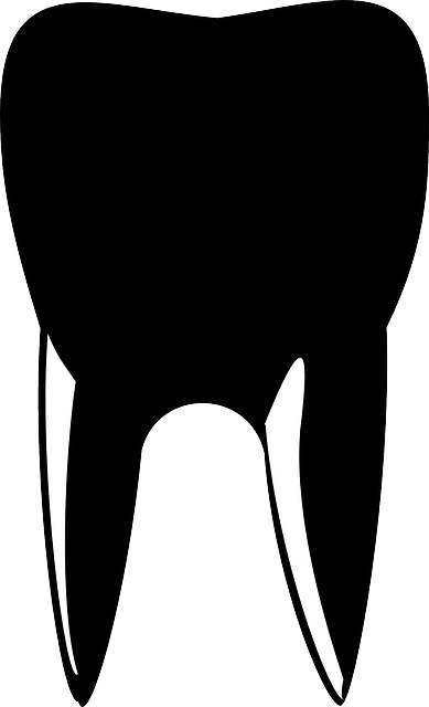 tooth braces