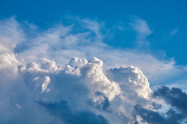 air purifiers