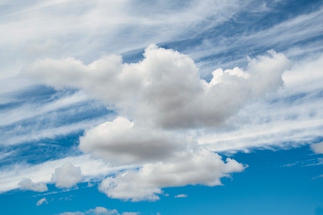 air purifiers