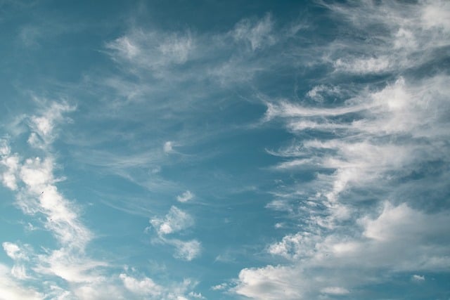 air purifiers