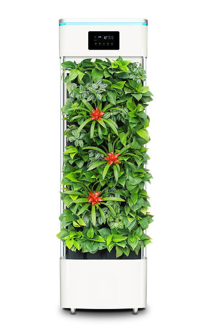 air purifiers