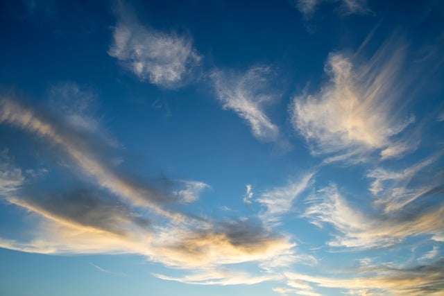 air purifiers