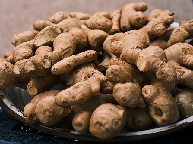 Awesome Ginger Cats