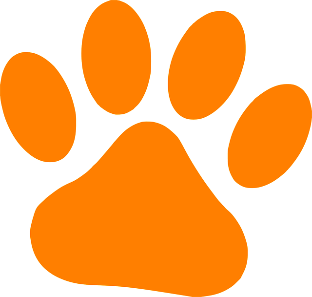 Awesome Orange Cats