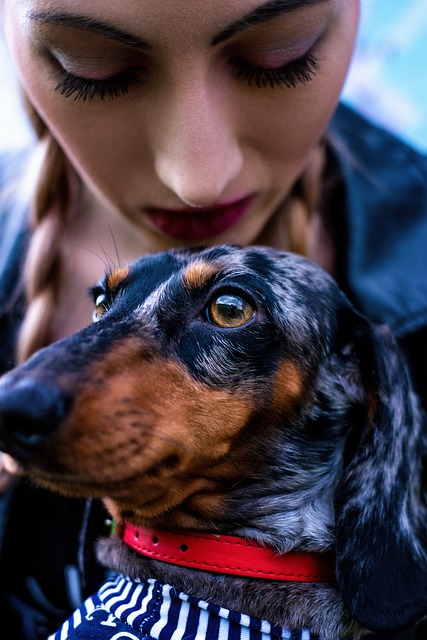 best air purifier for pets