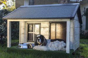 best-air-purifier-for-pets-640x480-34125206.jpeg