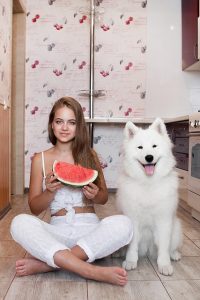best-air-purifier-for-pets-640x480-40110268.jpeg