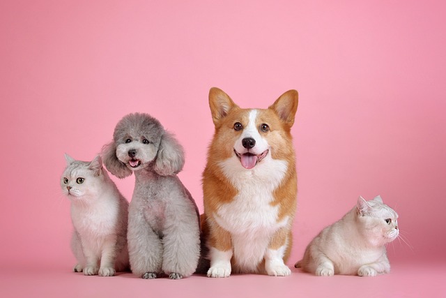 best air purifier for pets