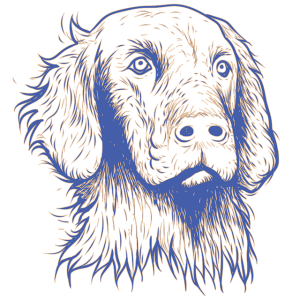 best-air-purifier-for-pets-640x480-48135831.png