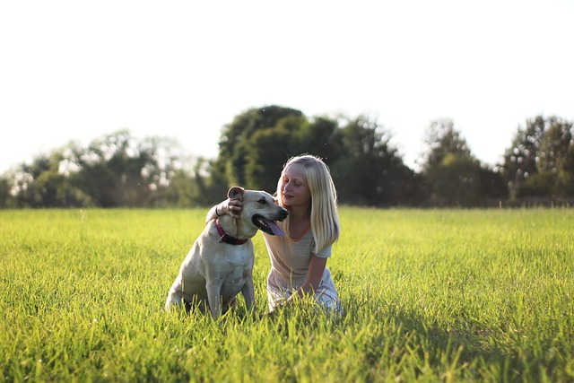 Cat Owner’s Guide: Best Air Purifiers for A Healthier Home