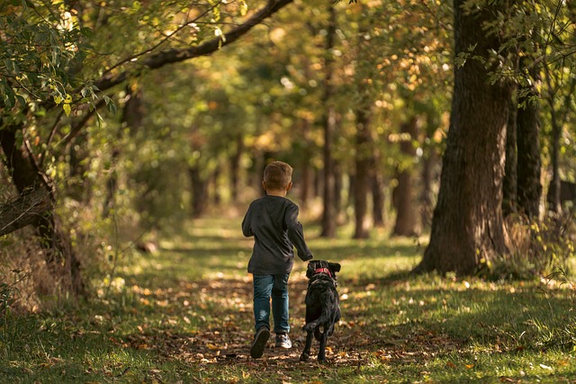 best air purifier for pets