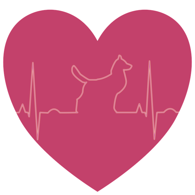 best-air-purifier-for-pets-640x480-69971870.png