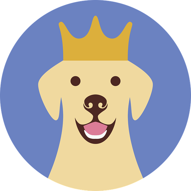 Best Air Purifiers for Dog Allergy Relief: A Comprehensive Guide
