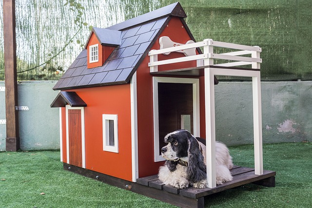 best air purifier for pets