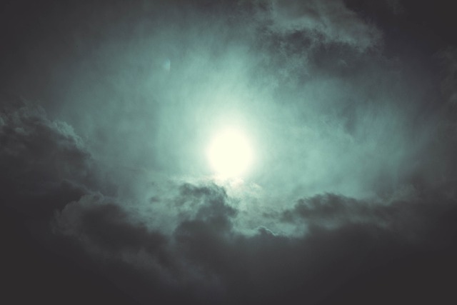 Purify Your Air: Achieve a Healthier Home Environment