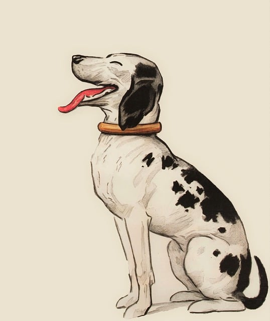 best air purifier for pets
