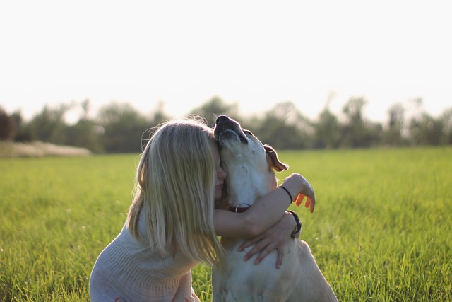 best air purifier for pets