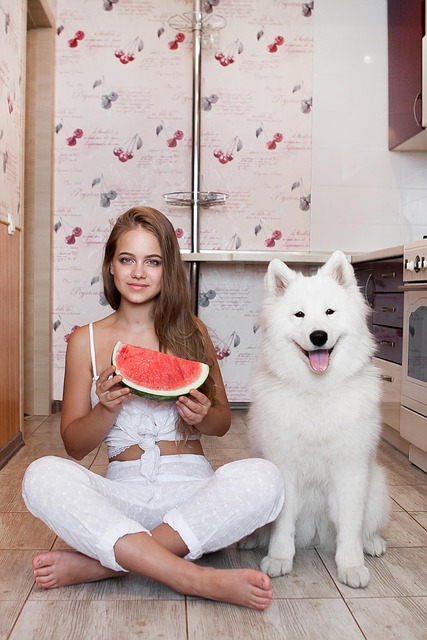 best air purifier for pets