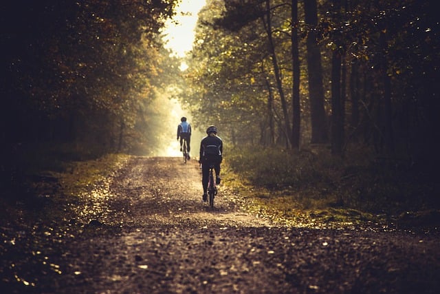 bicycle accident injuries