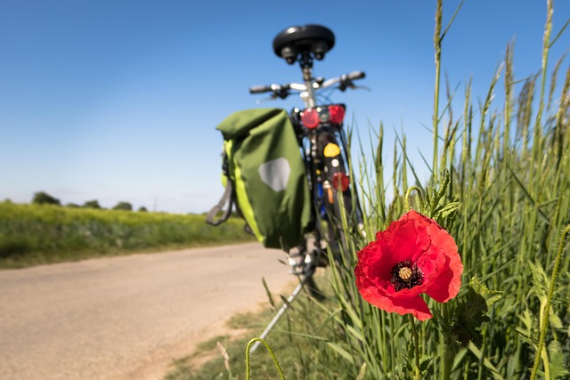 bicycle accident injuries