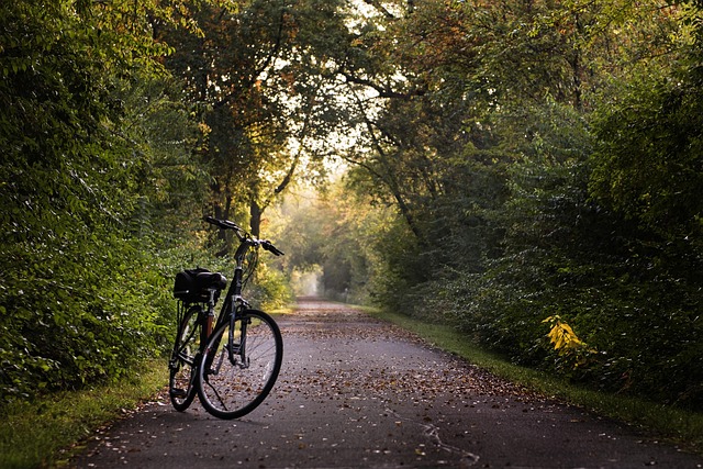 bicycle accident injuries