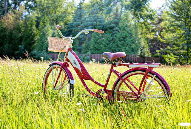 bicycle accident injuries