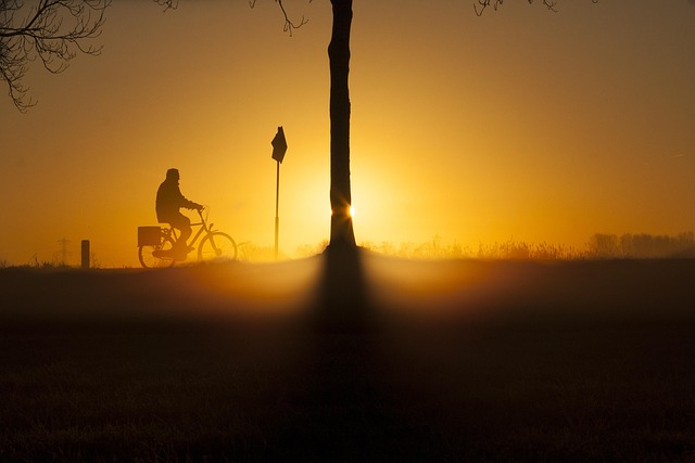 bicycle accident injuries