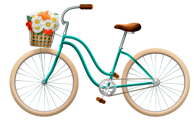 bicycle injury