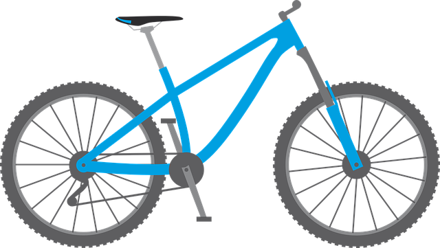 bicycle injury