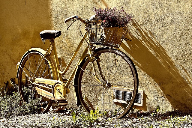 bicycle injury