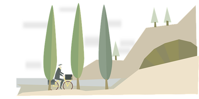 bicycle injury