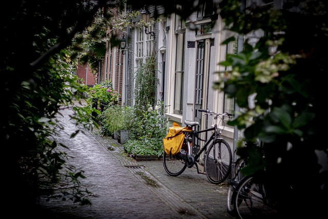 bicycle injury