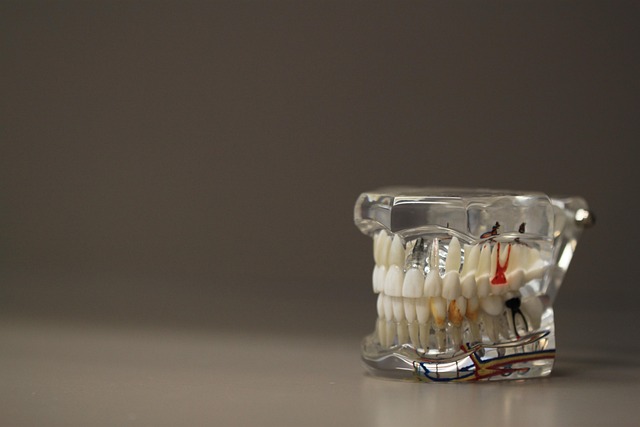 Bite Correction Dentistry: Aligning Bites for Lasting Comfort