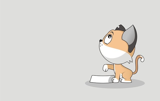 cute-orange-cats-640x480-23444896.jpeg