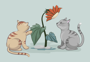 cute-orange-tabbies-640x480-61123369.png