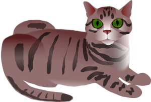cute-orange-tabbies-640x480-62146914.png
